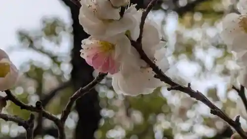  智積院(京都府)