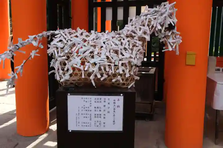 賀茂別雷神社(上賀茂神社)のおみくじ