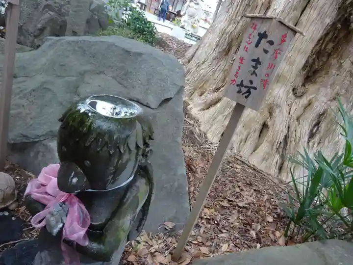 善養寺(善養密寺)の狛犬