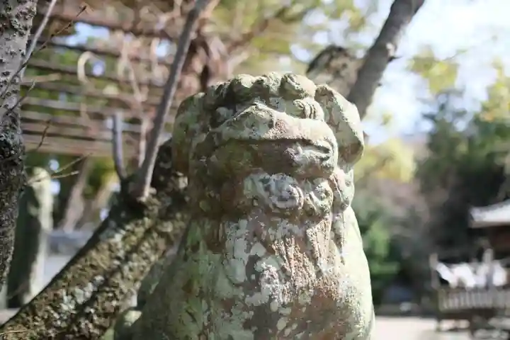 藤白神社の狛犬