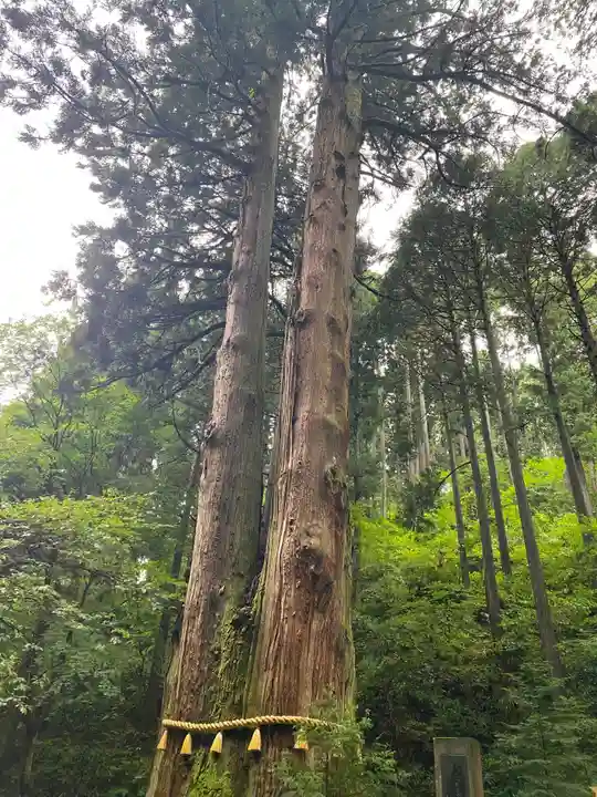 御岩神社の自然