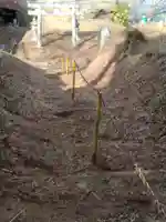 春日神社(宮沢)(宮城県)