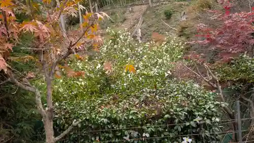 三鈷寺(京都府)