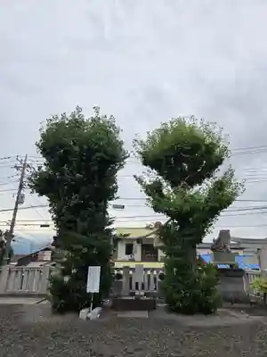 甲斐奈神社(山梨県)