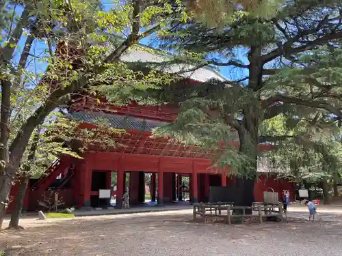 増上寺(東京都)