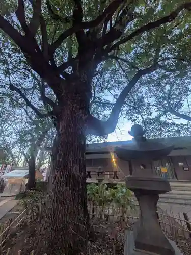 王子稲荷神社(東京都)