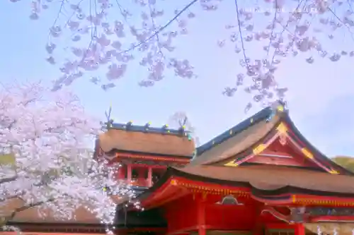 富士山本宮浅間大社(静岡県)