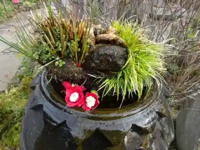 常泉寺の手水舎
