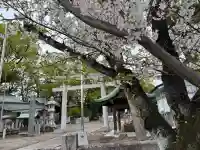 堤治神社の{uncategorized: "未分類", other: "その他", undefined: "問題あり", building: "その他建物", grave: "お墓", sacred_gate: "鳥居", guardian: "狛犬", statue: "像", buddha: "仏像", history: "歴史", nature: "自然", garden: "庭園", animal: "動物", pagoda: "塔", temizu: "手水舎", mountain_gate: "山門・神門", sanctuary: "本殿・本堂", subordinate: "末社・摂社", art: "芸術", scenery: "景色", jizo: "地蔵", ema: "絵馬", goshuin: "御朱印", omikuji: "おみくじ", items: "授与品その他", amulet: "お守り", goshuincho: "御朱印帳", eats: "食事", festival: "お祭り", votive_dance: "神楽", shichigosan: "七五三参", wedding: "結婚式", experience: "体験その他", initially: "初詣", around: "周辺", anti_infection: "感染症対策"}