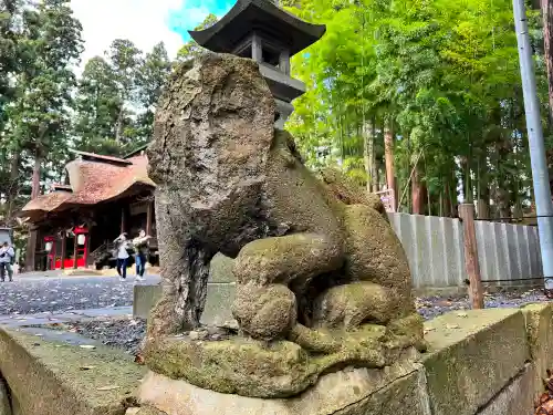 熊野大社の狛犬