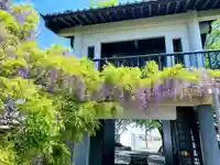 法華寺の山門・神門