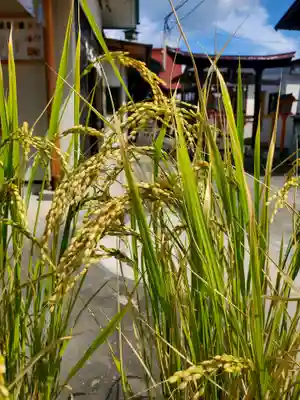 大鏑神社(福島県)