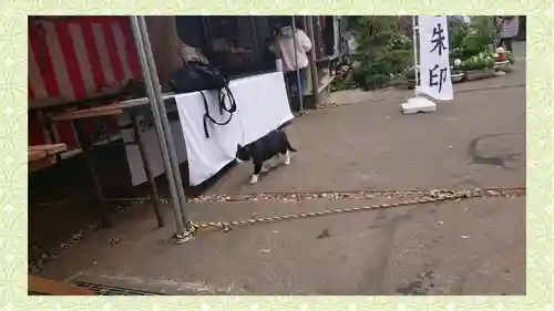 馬場氷川神社(埼玉県)