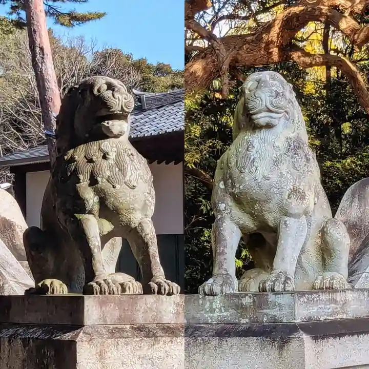 法華経寺の狛犬
