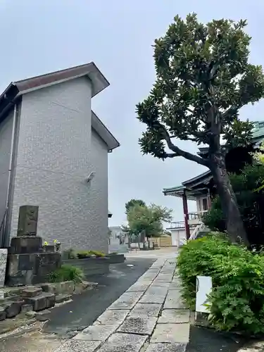 妙法寺(東京都)