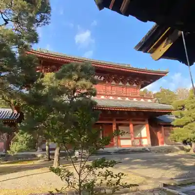 大徳寺(京都府)