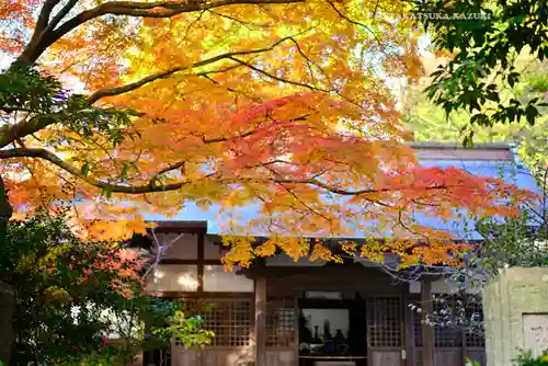 円覚寺(神奈川県)