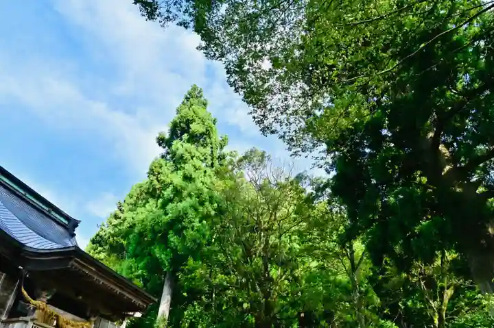 石動神社の自然