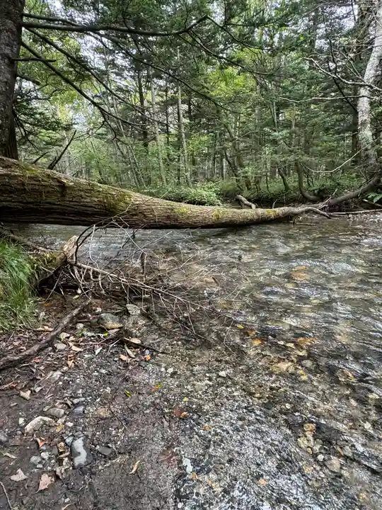 穂高神社奥宮の自然
