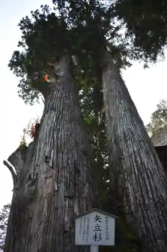 榛名神社のその他建物