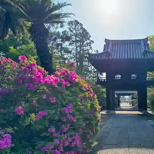 伊勢の国 四天王寺(三重県)(2025年04月30日(水) 12時41分42秒投稿)