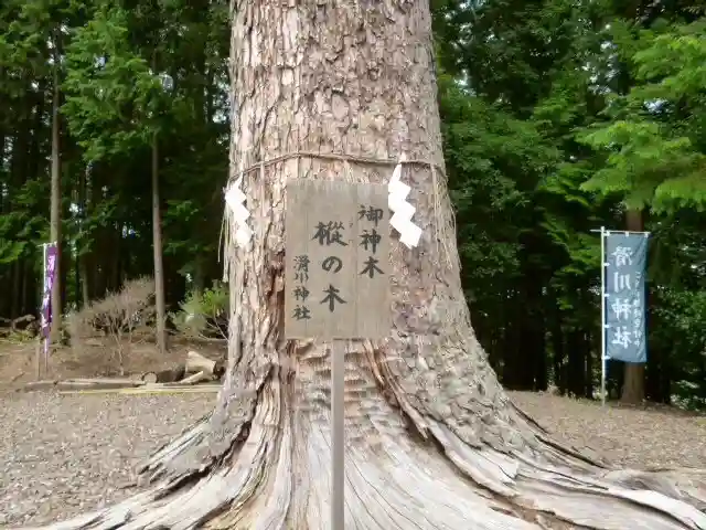 滑川神社 - 仕事と子どもの守り神の自然