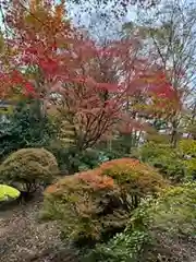 日枝神社(岐阜県)