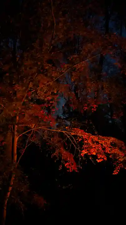 賀茂御祖神社(下鴨神社)(京都府)