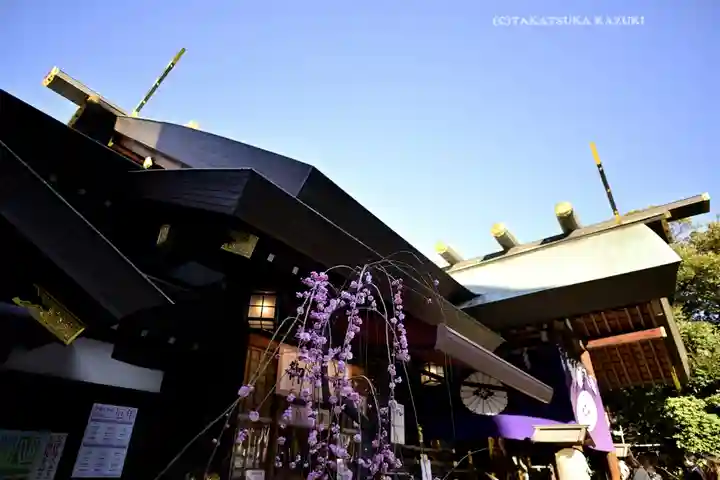 東京大神宮(東京都)