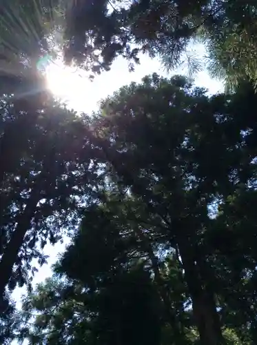 豊景神社の自然