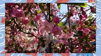 赤羽八幡神社(東京都)
