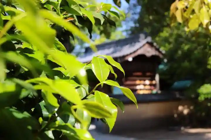 三津厳島神社(愛媛県)