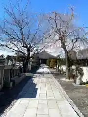 清鏡寺の建物その他