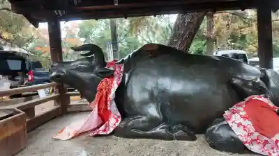 北野天満宮(京都府)