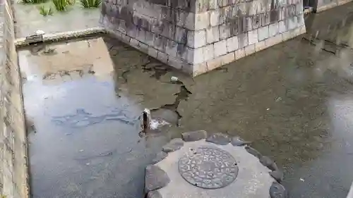 浅澤社（住吉大社末社）の庭園