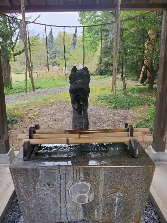 安房神社の手水舎