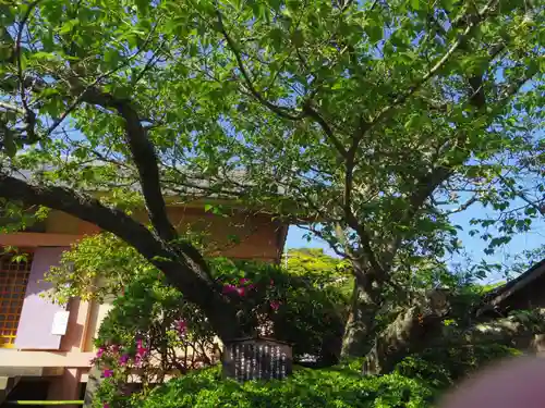 極楽寺（霊鷲山感應院極楽律寺）の自然