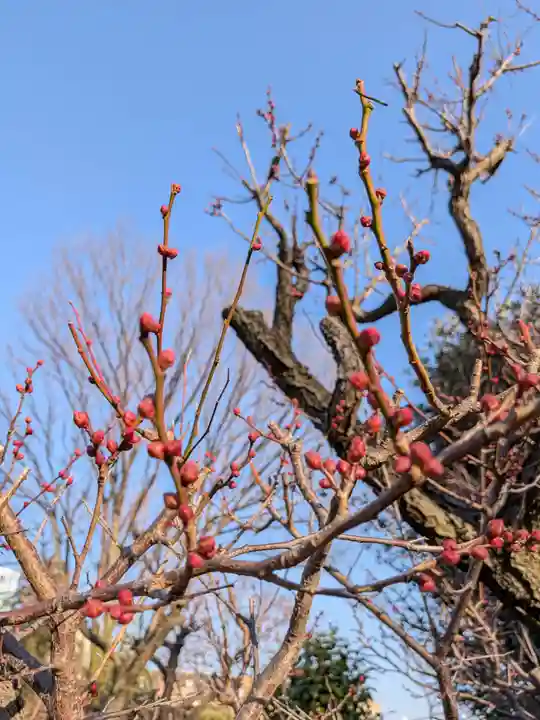 瑞円寺(東京都)