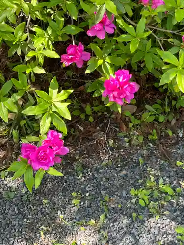 遠見岬神社(千葉県)