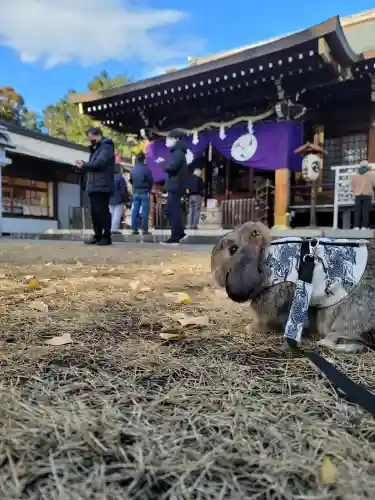 下新倉氷川八幡神社(埼玉県)