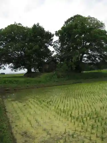 神明神社(千葉県)