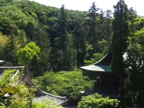 松嶺院の景色