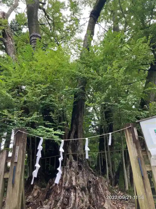 小室浅間神社(山梨県)