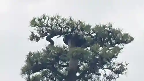 松蔭寺(静岡県)
