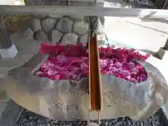 都波岐奈加等神社の手水