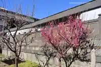 成田山深川不動堂(新勝寺東京別院)(東京都)