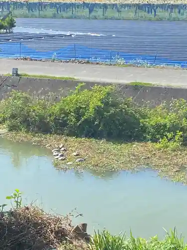 法話と天井絵の寺　観音寺(徳島県)