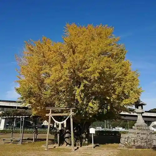 祠の鳥居