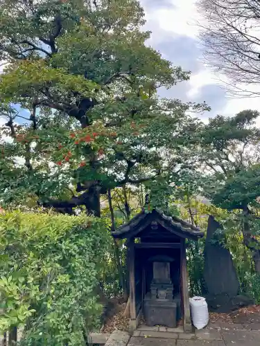 西藏院の{uncategorized: "未分類", other: "その他", undefined: "問題あり", building: "その他建物", grave: "お墓", sacred_gate: "鳥居", guardian: "狛犬", statue: "像", buddha: "仏像", history: "歴史", nature: "自然", garden: "庭園", animal: "動物", pagoda: "塔", temizu: "手水舎", mountain_gate: "山門・神門", sanctuary: "本殿・本堂", subordinate: "末社・摂社", art: "芸術", scenery: "景色", jizo: "地蔵", ema: "絵馬", goshuin: "御朱印", omikuji: "おみくじ", items: "授与品その他", amulet: "お守り", goshuincho: "御朱印帳", eats: "食事", festival: "お祭り", votive_dance: "神楽", shichigosan: "七五三参", wedding: "結婚式", experience: "体験その他", initially: "初詣", around: "周辺", anti_infection: "感染症対策"}