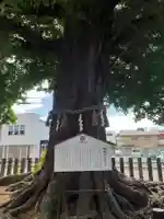 神明宮(青森県)